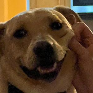 Meet your Posher, Riley